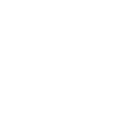 program